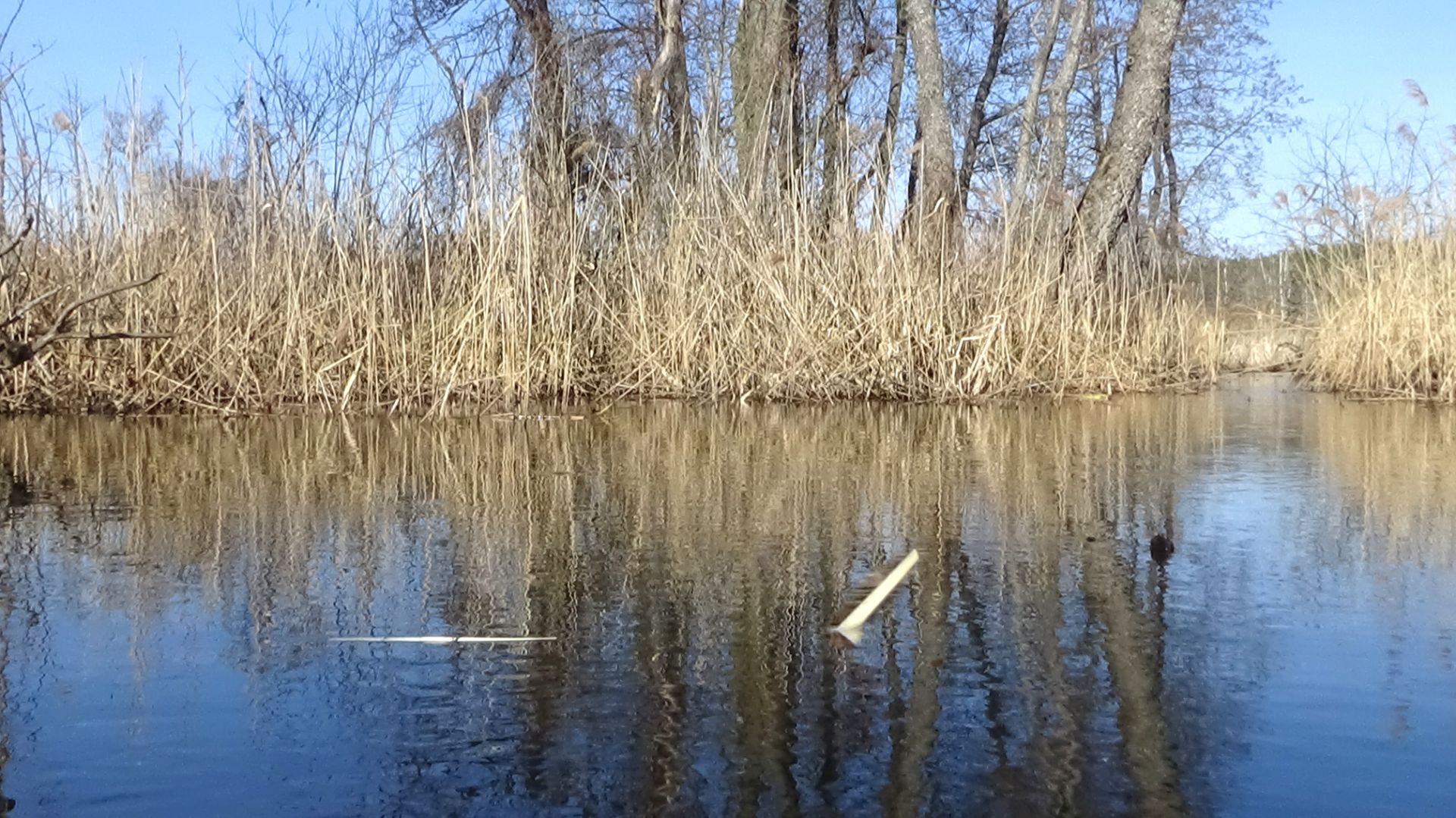 Открытие открытой воды 2026! Рыбалка на поплавок на ручье, ловля карася 30 марта