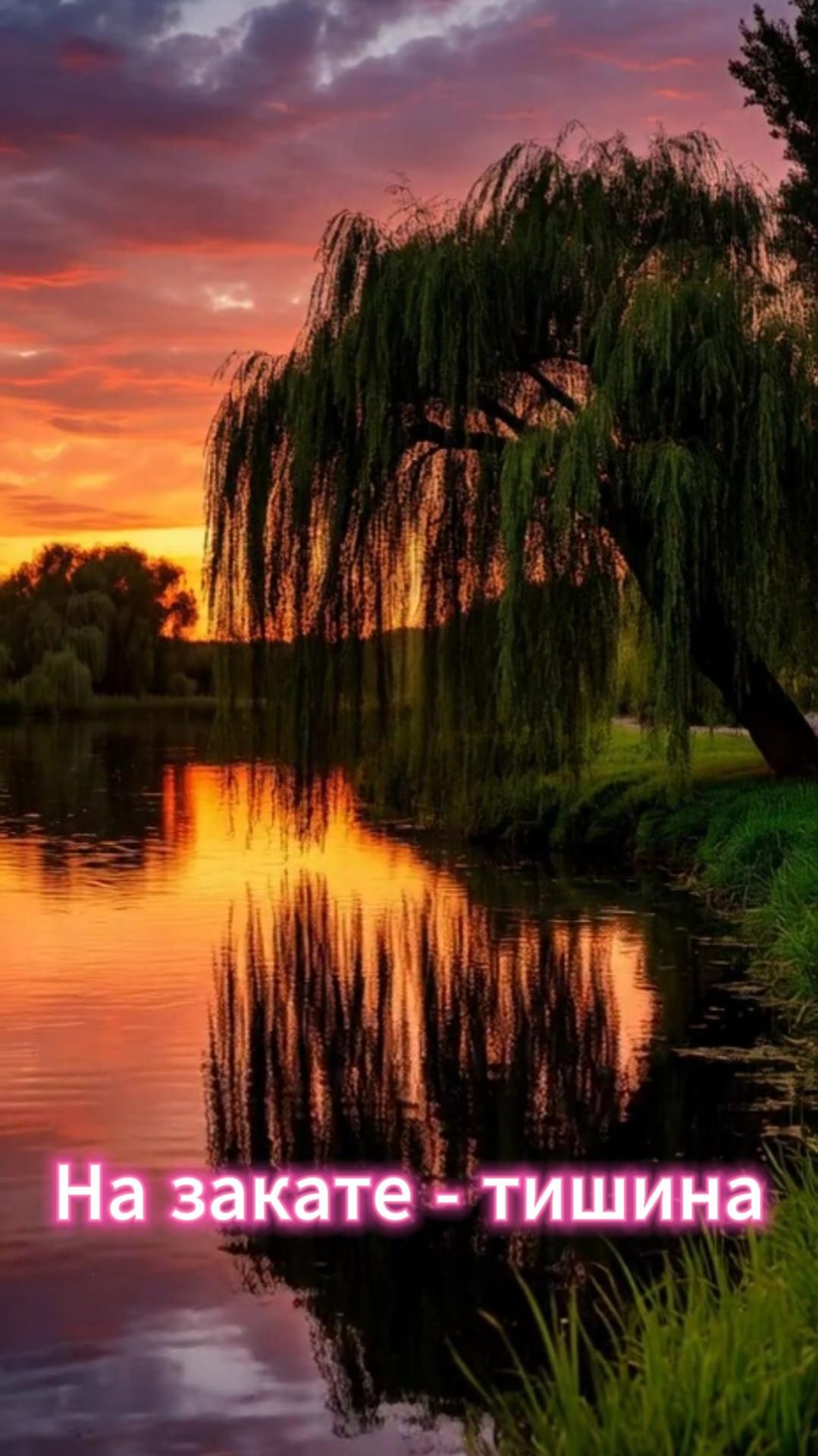 Авторская песня: 