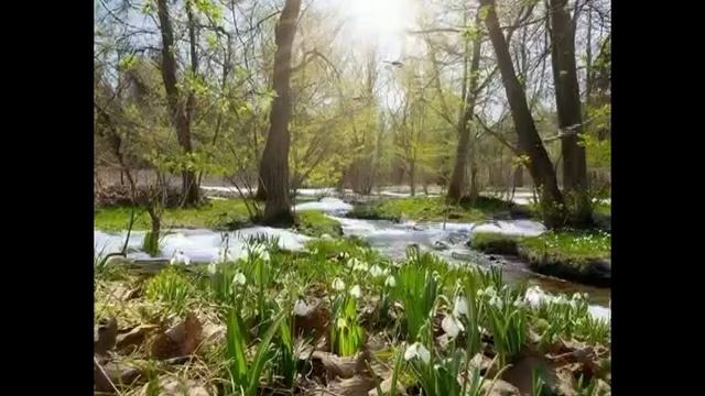 Весна пришла