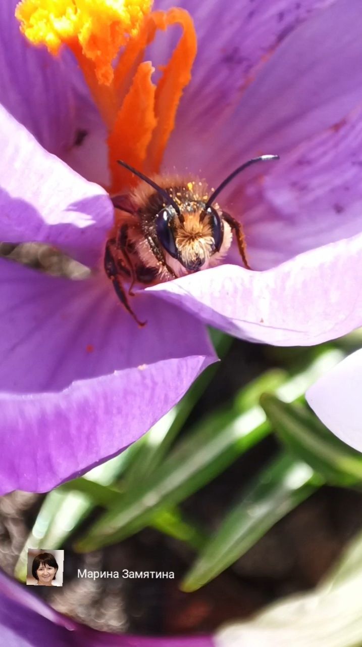 Сегодня в лесу.