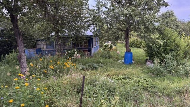 Copy_7144DFBC-8E95-42DA-9680-6155894085EA