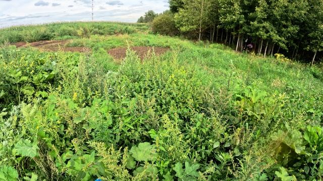 Большое путешествие по двум эндуро трассам и дальней поездкой по местным лесам.