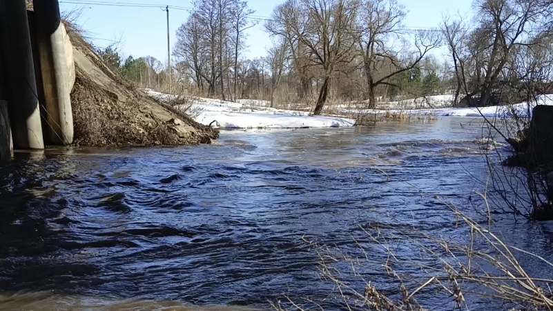 Река Скнига Тульская область. Релакс у воды 🤗