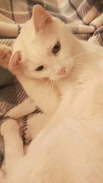 Марточке 11 лет!.mp4