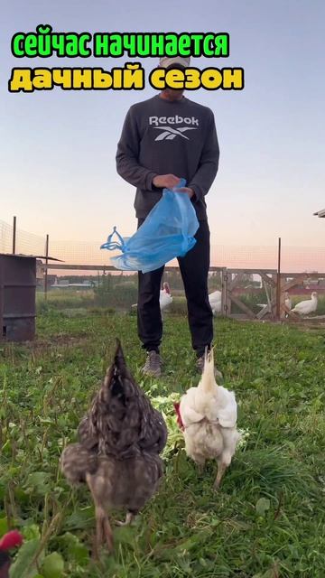 Отрыв от цивилизации