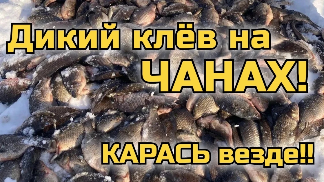 Рыбалка на озере Чаны. Карась везде!!! Дикий клёв!