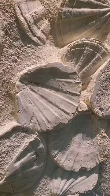 Выставка камня в Сямыне