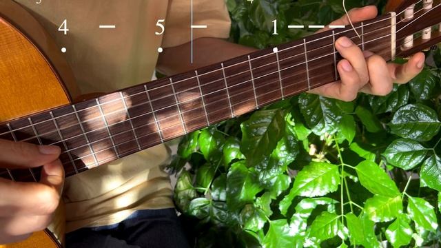 ИГРА АККОРДАМИ на Гитаре 032. Уроки Гитары. Аккорды и табы для Гитары Guitar B28