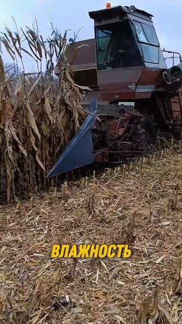 Нива СК5 КОМБАЙН СССР