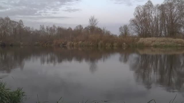 ОХОТА НА БОБРА В БЕЛАРУСИ