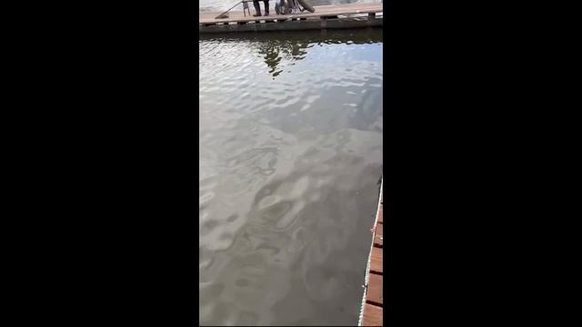 Copy_C5261128-803D-4BC6-BF73-CE5C74A82E8F