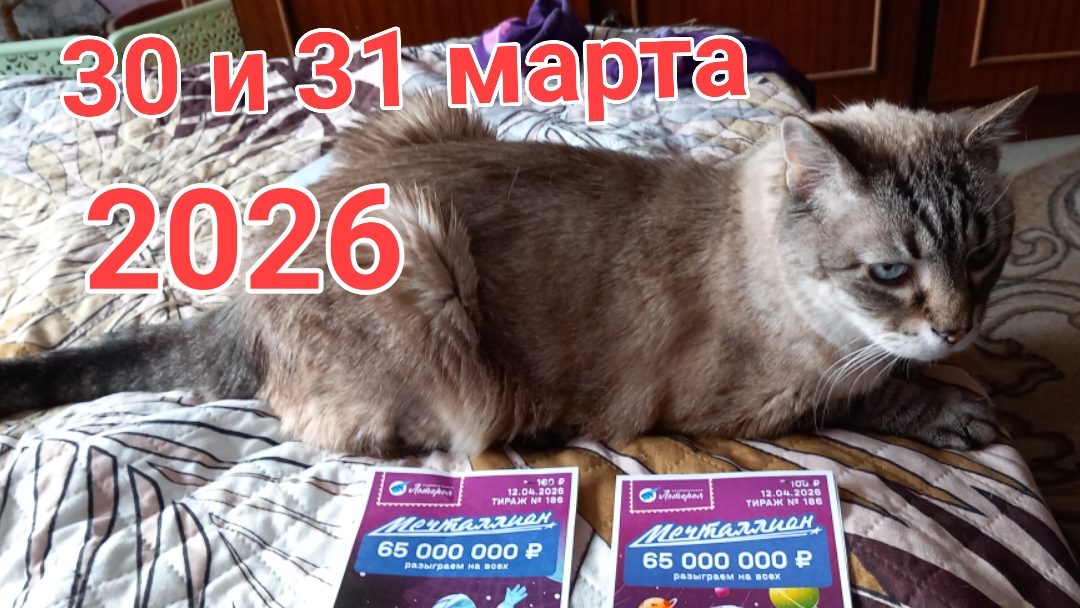 30 и 31 марта 2026. Ждём газовщиков...