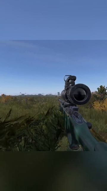 #dayz#survival#дейз#pvp#дейзи#выживание#rutube