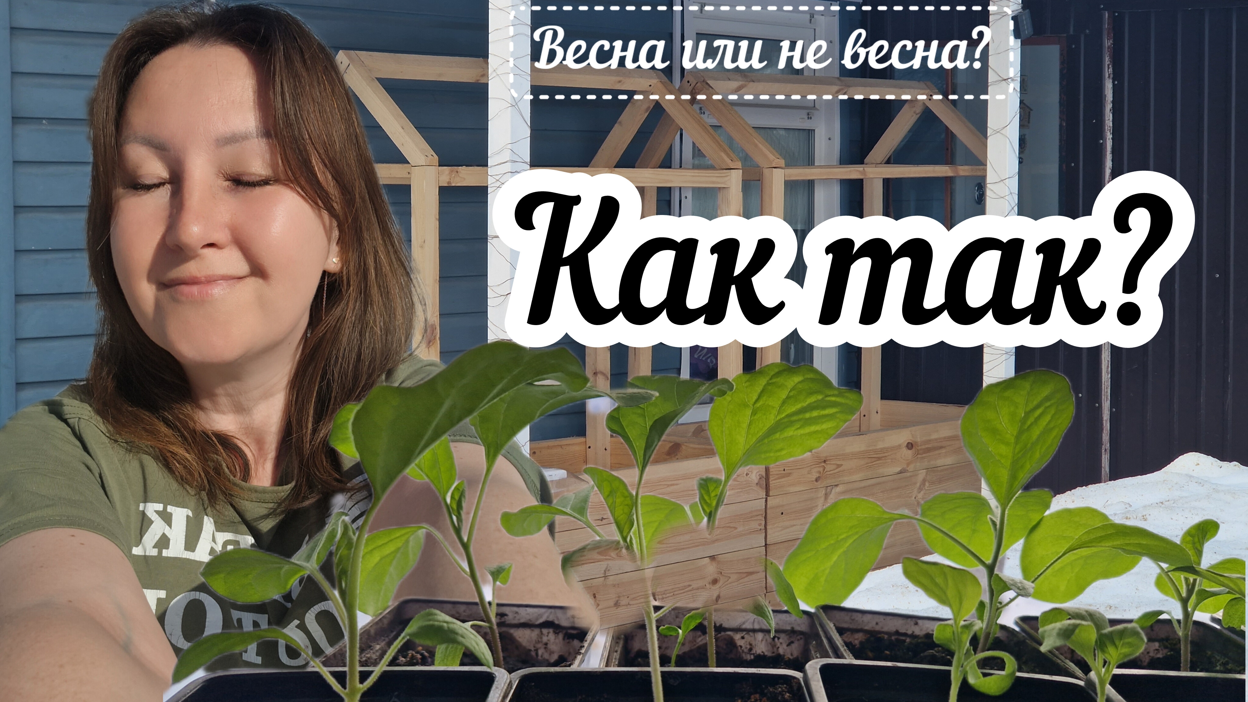 Рассада взошла ВСЯ, теплицы и пленка Светлица готовы, а снега на огороде ещё по пояс!🤪