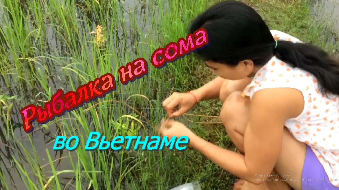 Рыбалка на сома. Вьетнамские снасти для ловли