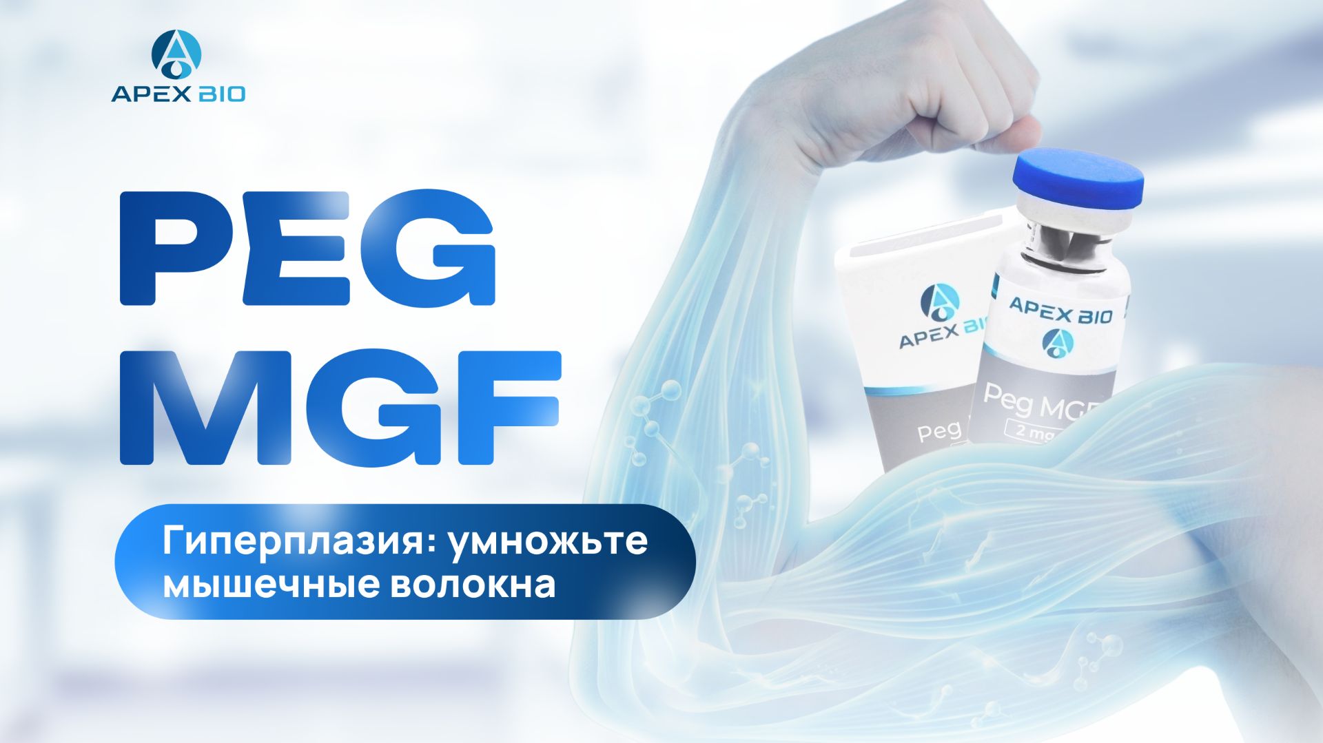Пептид PEG MGF: как нарастить сухую мышечную массу и ускорить восстановление?