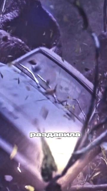 ТЫ ТОЧНО НЕ ЗНАЛ ЭТО О ГАРРИ ПОТТЕРЕ