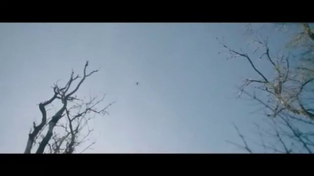 Забытый блиндаж