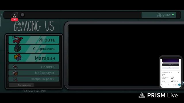 Играем в Among Us!