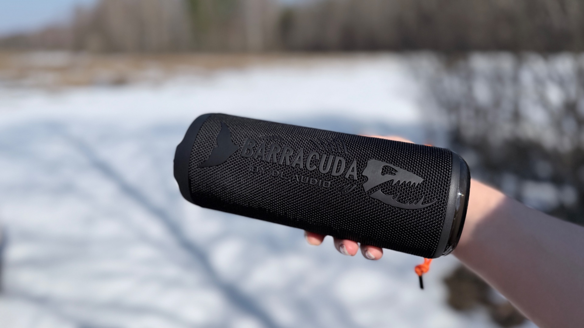 DL Audio не только в авто… Barracuda Portable Speaker