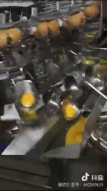 Haaschi Cake Machine (162) Egg Crack Machine