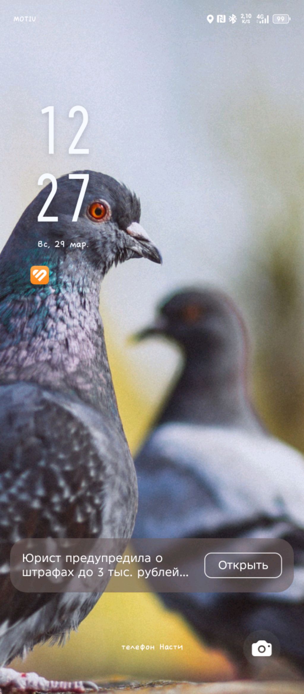 занимаюсь фигнёй