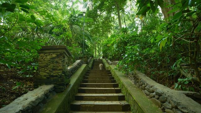 20211005 - Bali In 8k ULTRA HD HDR - Paradise Of Asia (120 FPS)