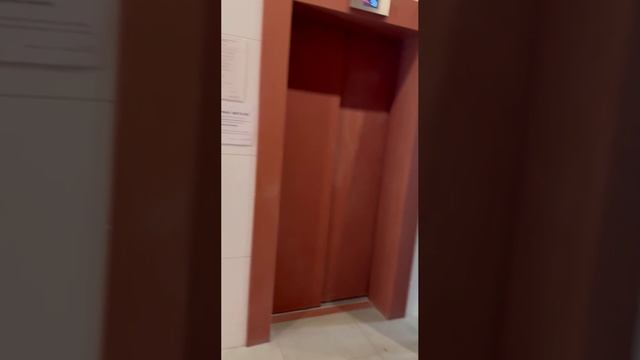 VID_20260331_121707_902.mp4