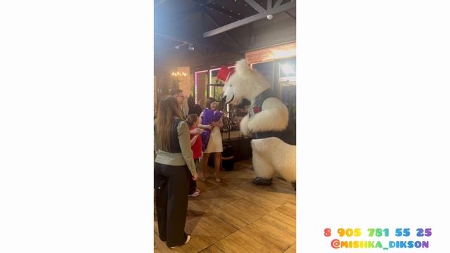 Мишка ДИКСОН 📞 8 905 781 55 25 📞