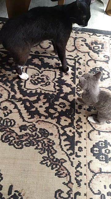 0504489f878c869e4d18e37e7349a2be