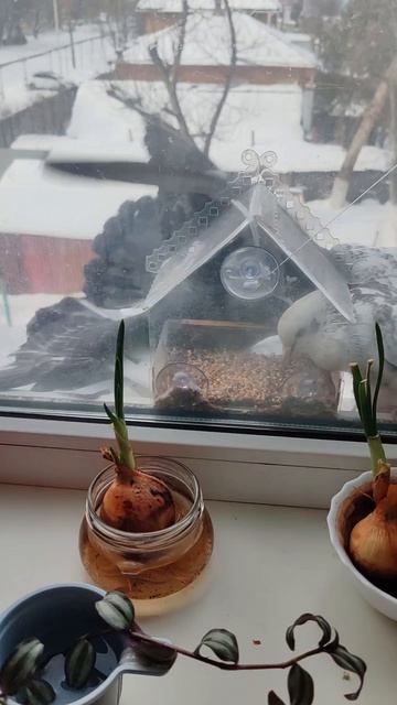 E56060c77248eba9de2807a2aacbd114