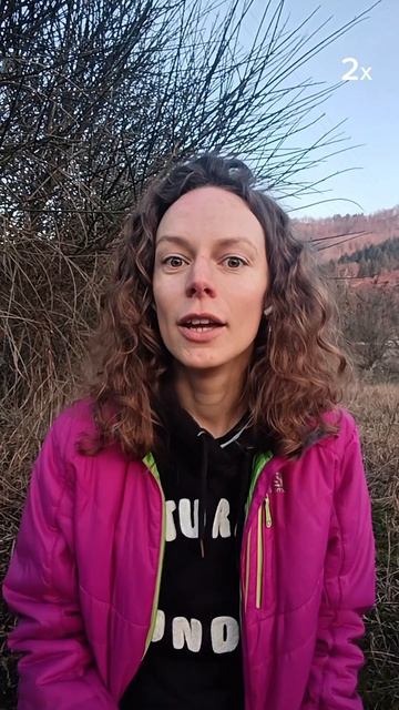 Знакомы откаты саботажника в полезных привычках?  #психология #психотерапия #психолог