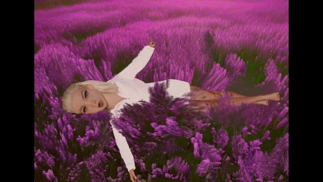 Валерьяновое поле. Желания и действительность #деньгивластьхочу