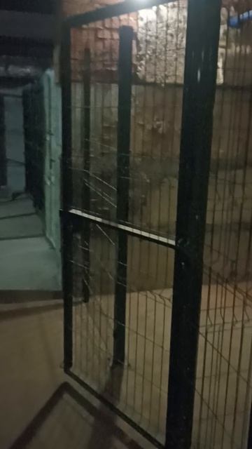 Помещение 2104