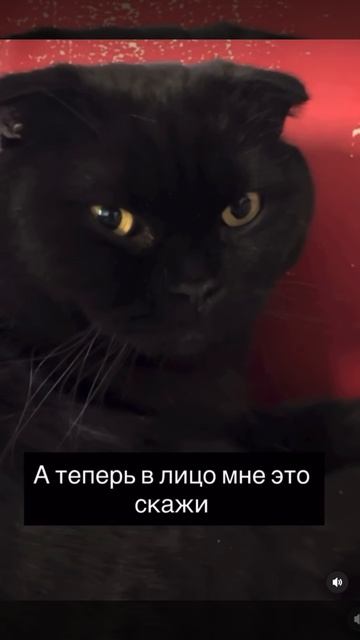 Теперь надо отпрашиваться у него