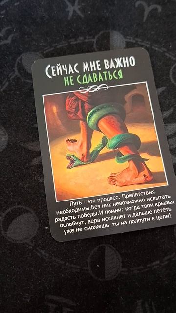 КАРТА ДНЯ НА 31.03.26