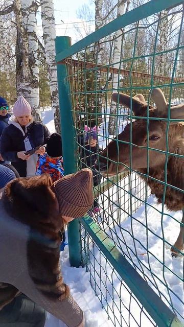 Кто живёт в экоцентре Кузнецкий Алатау?