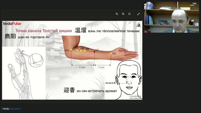 Канал Толстой кишки синдромы дисбаланса и методы коррекции