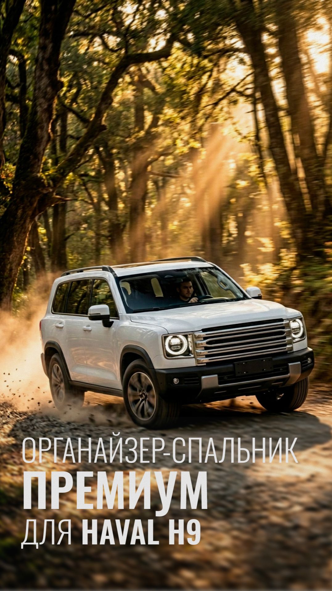 Органайзер-спальник Премиум для Haval H9