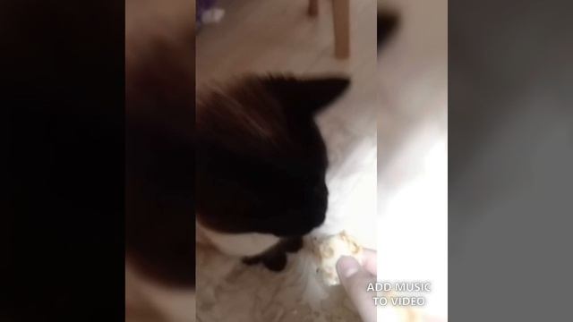 Симён Симёныч