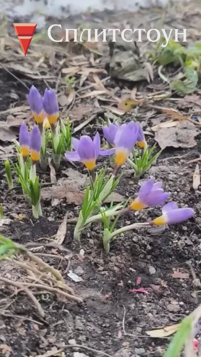 С началом строительного сезона, дорогие друзья!