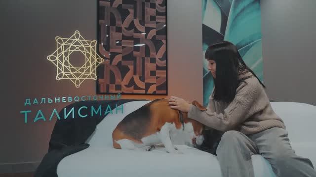 Лапомоечные в ЖК 