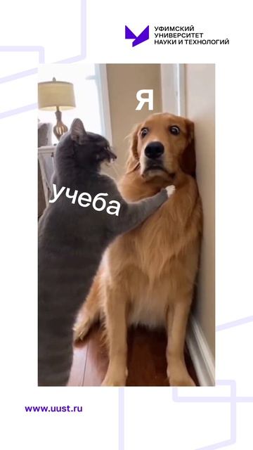 Учеба в УУНиТ в самом разгаре!