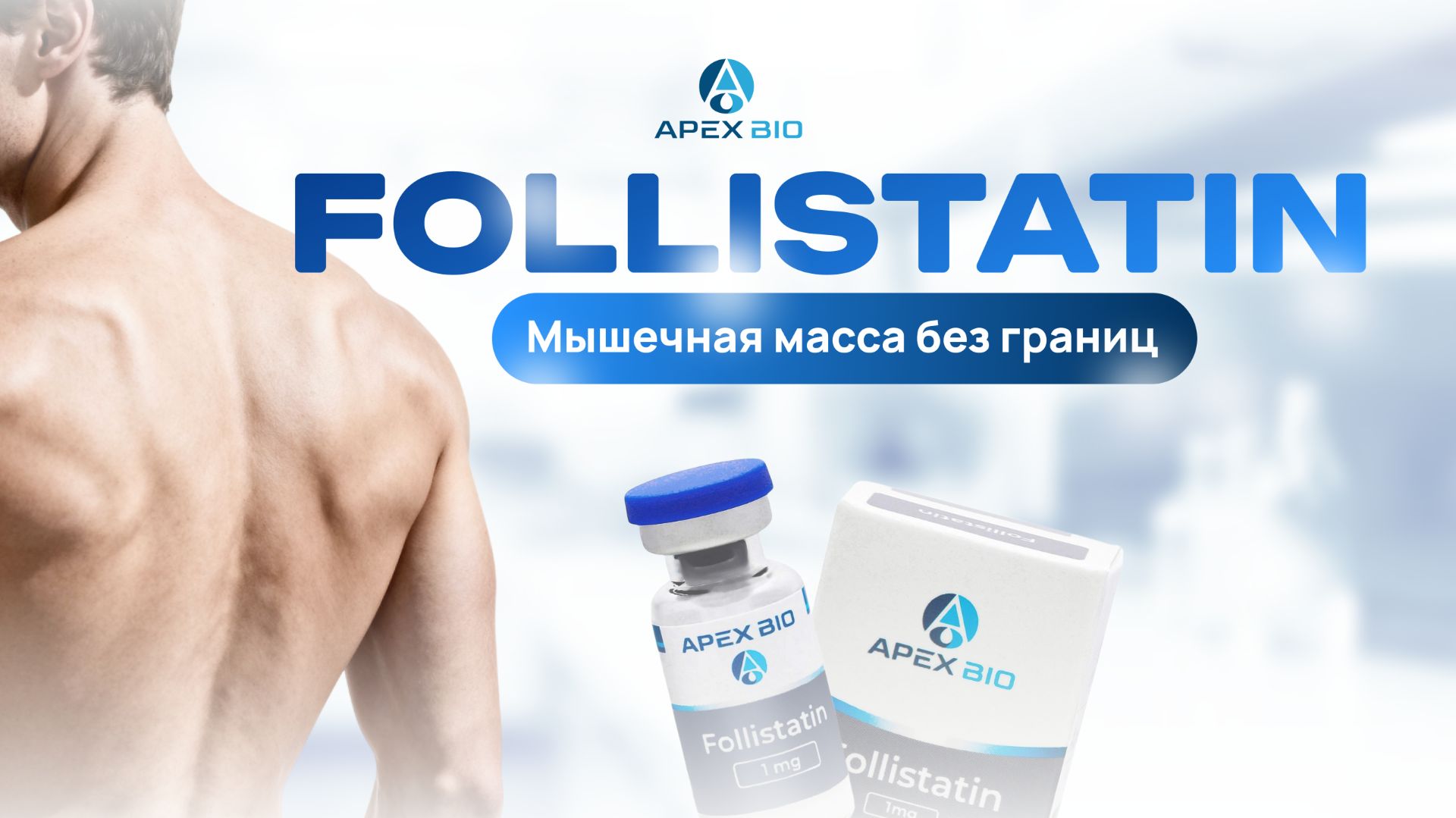 Follistatin: как блокировать миостатин для роста мышц? Эффекты на массу, силу и восстановление