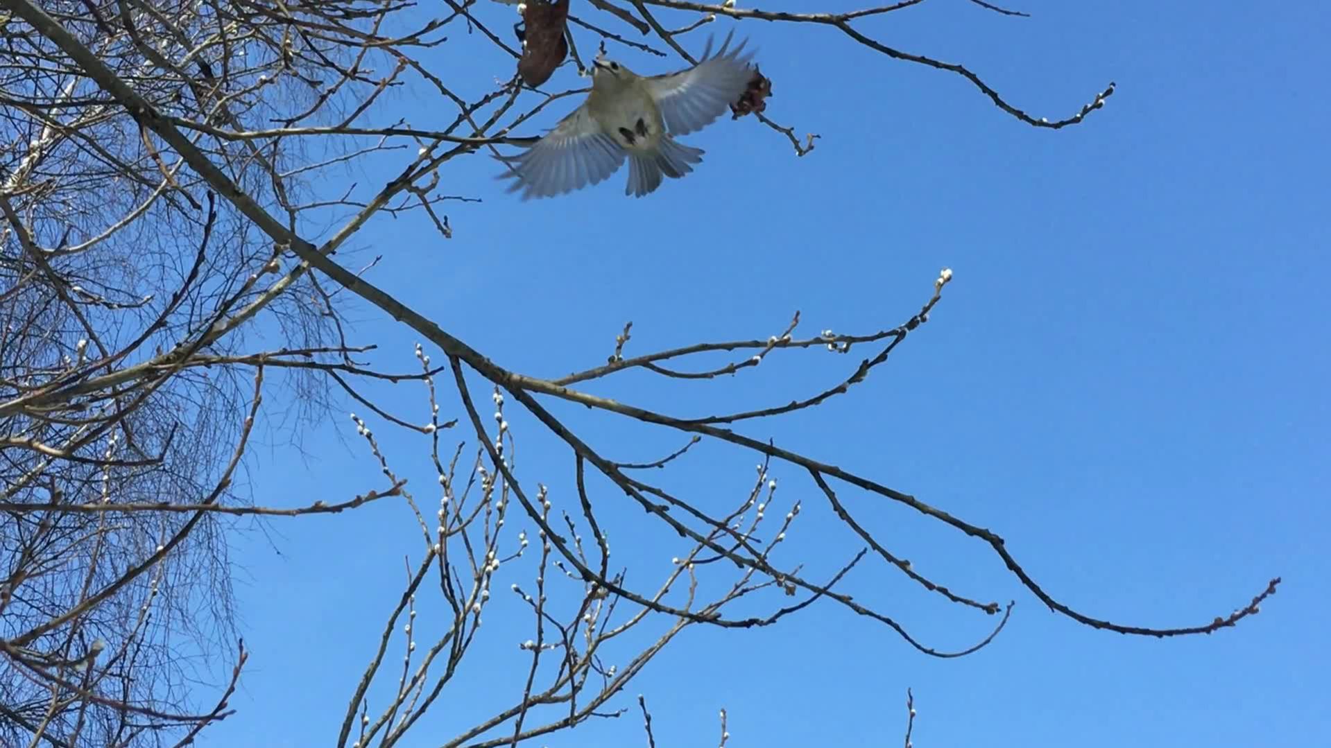 На вымерзшей земле