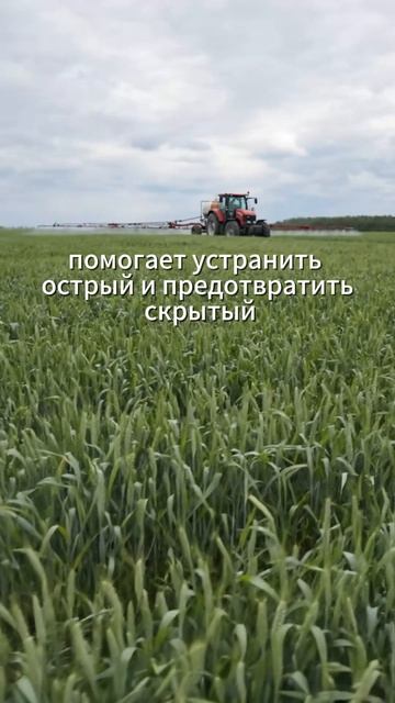 Вуксал Микроплант