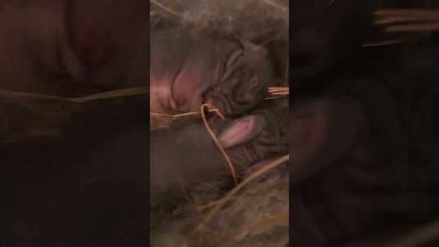 23 марта 2026(что происходит)