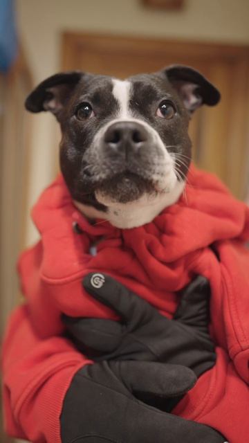 Хочу на мясокомбинат 🥩