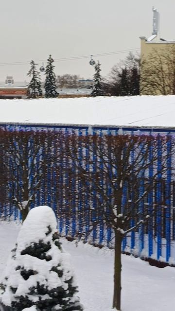 Плющенко, лед и 5000 сердец. ВДНХ глазами местного.