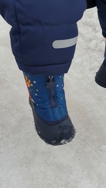 Рома впервые гуляет в перчатках, 13:40, 1.04.2026